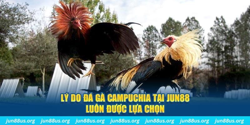 luckyvn nổ hủ máy bay