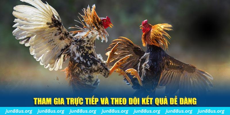 luckyvn đá gà trực tiếp bình luận viên