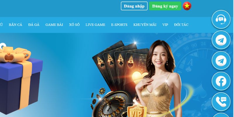 luckyvn slot là gì dịch