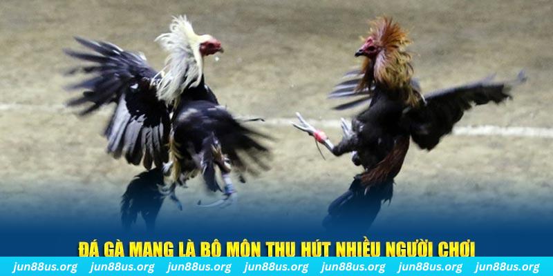 luckyvn xổ số cà mau