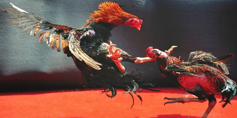 luckyvn BG Bắn cá