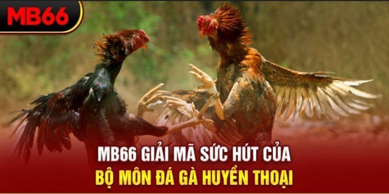 luckyvn Phi Đội Ưu Tú