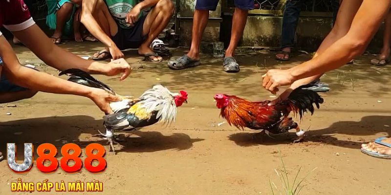 luckyvn đăng nhập mậu binh rút tiền nhanh