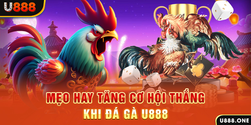 luckyvn trực tiếp gà chọi c1