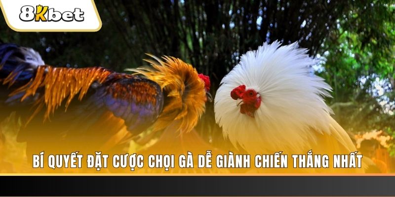 luckyvn Tài Xỉu 2