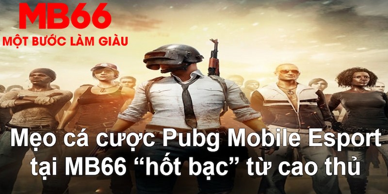 luckyvn gà chọi mộc hóa