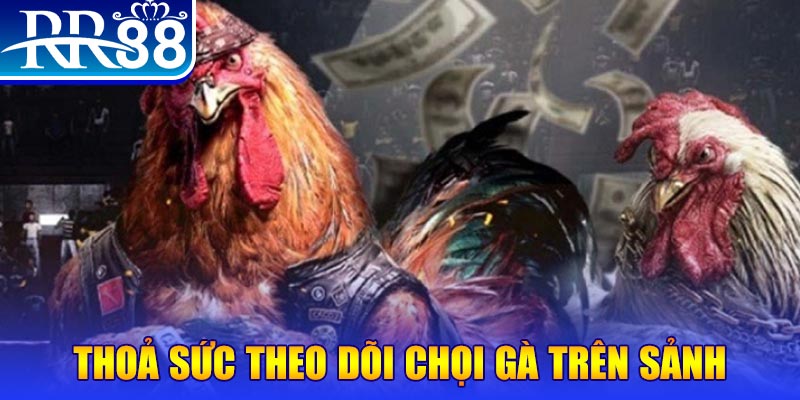 luckyvn đá gà 88.com