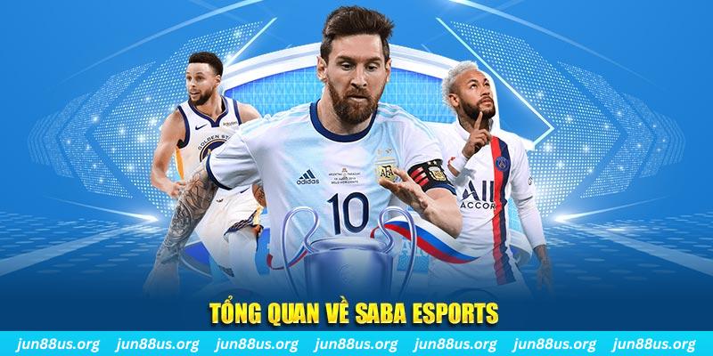 luckyvn gà chọi c1 tv trực tiếp hôm nay