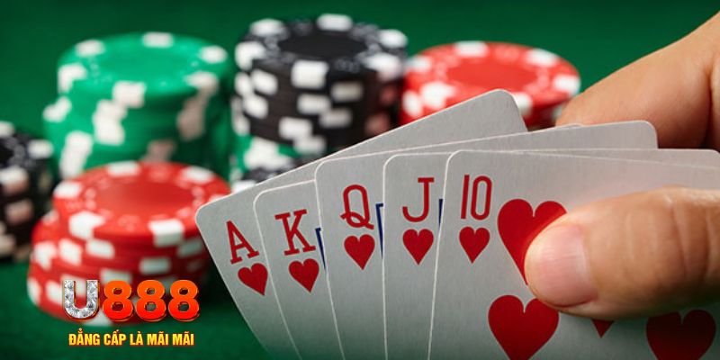 luckyvn trực tiếp đá gà